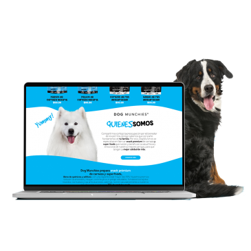  medios digitales, guadalajara,dog munchies