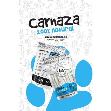  diseño web,zapopan, agencia de medios