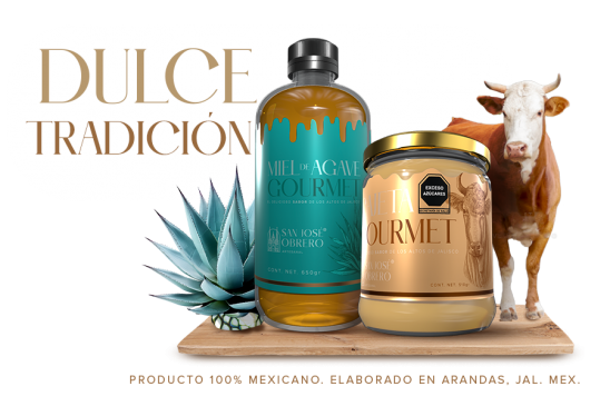  diseño web, medios digitales, branding